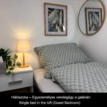 Dzsungel Szolnok